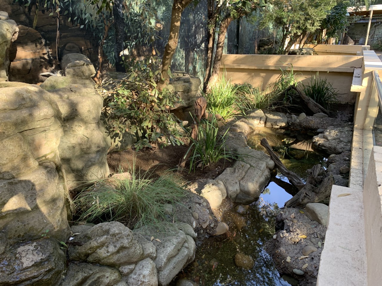 Macquarie Turtle Enclosure