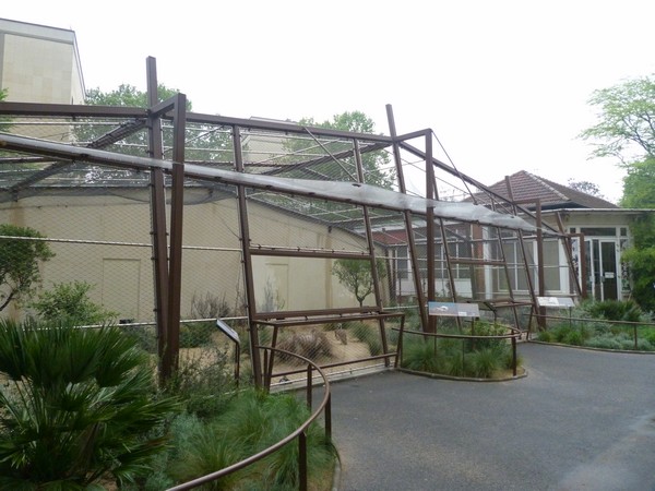 MacQueens bustard enclosure