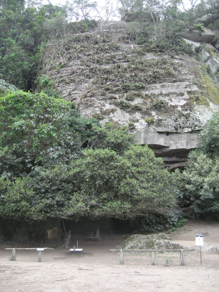 Macropd enclosure and rockface