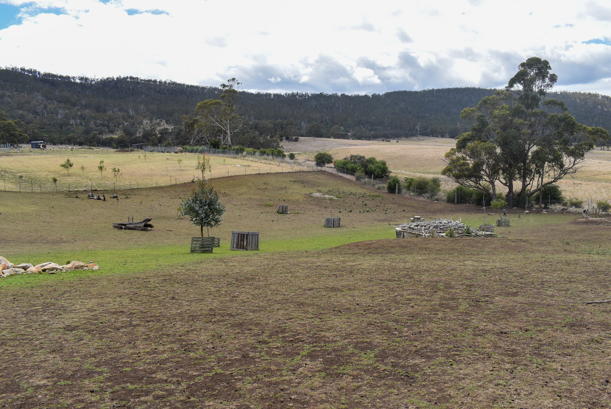 Macropod/Deer Walkthrough