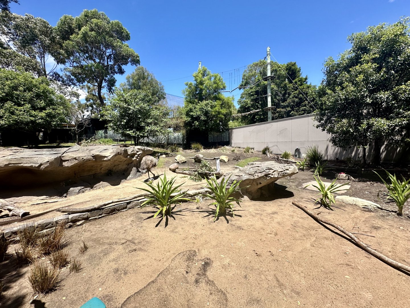 Macropod/Emu Walkthrough