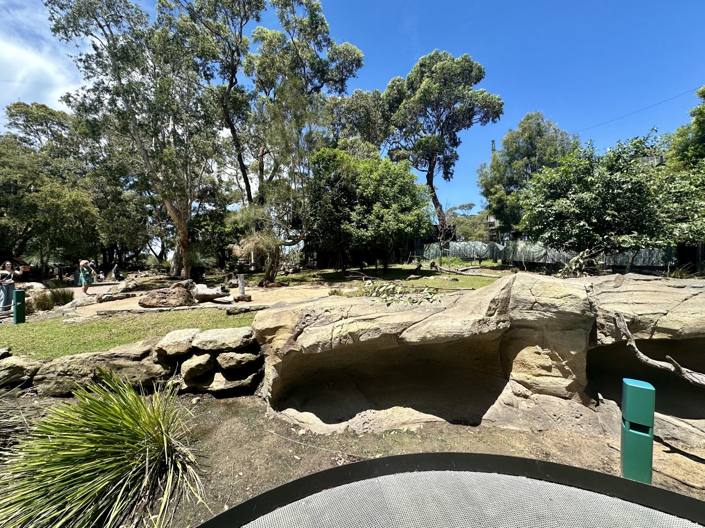 Macropod/Emu Walkthrough