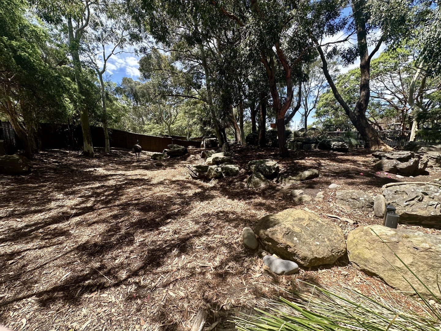 Macropod/Emu Walkthrough