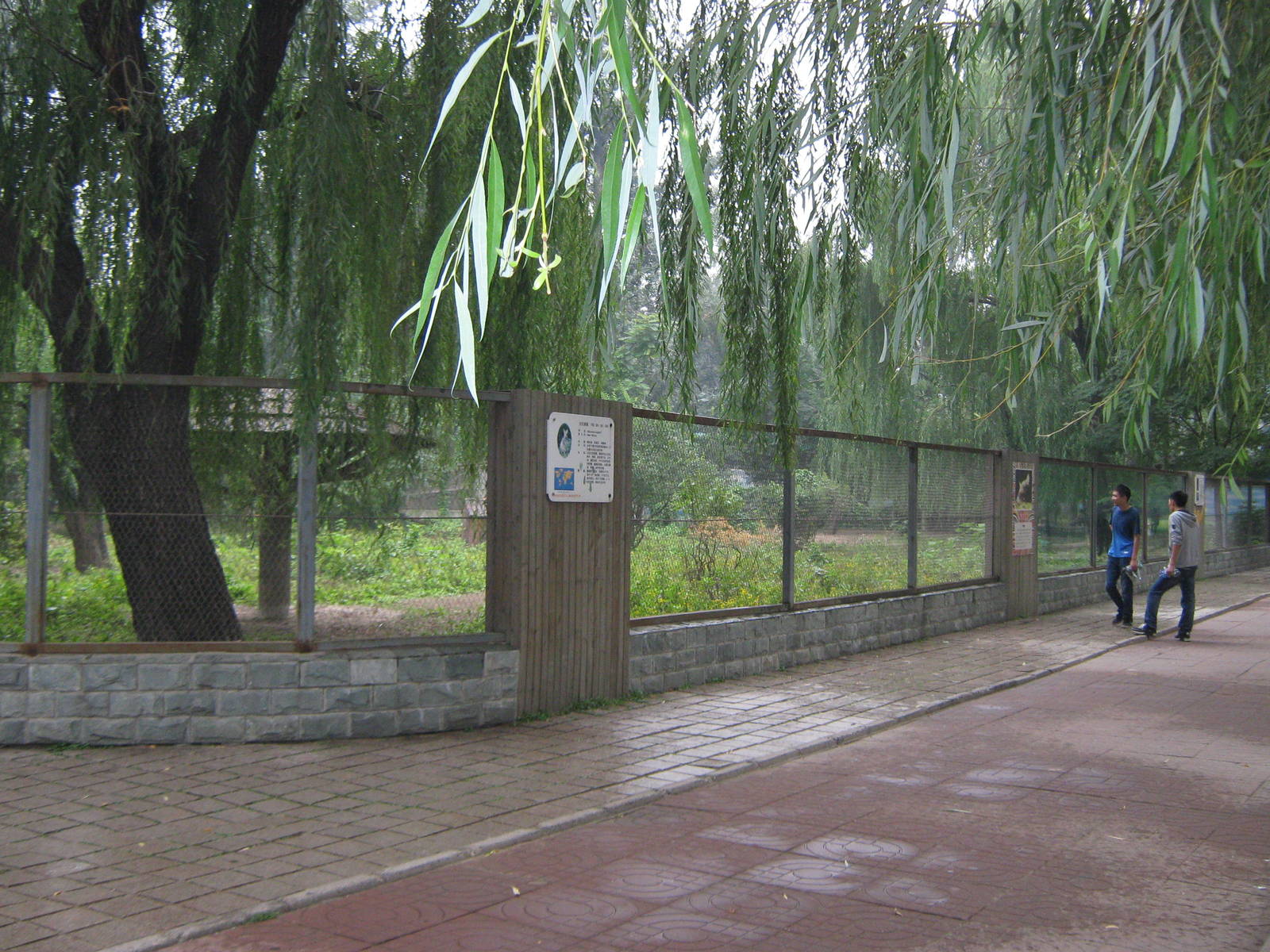 macropod enclosure in the Australian section