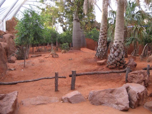 Macropod Enclosure