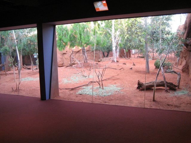 Macropod Enclosure