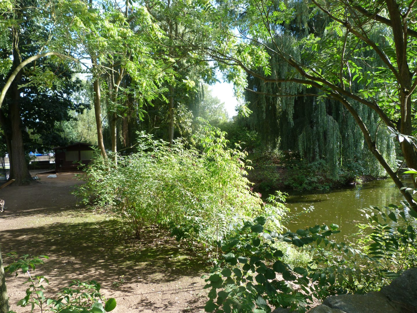 Macropod, pelican and waterfowl exhibits -Zoo Plzeň (2025)