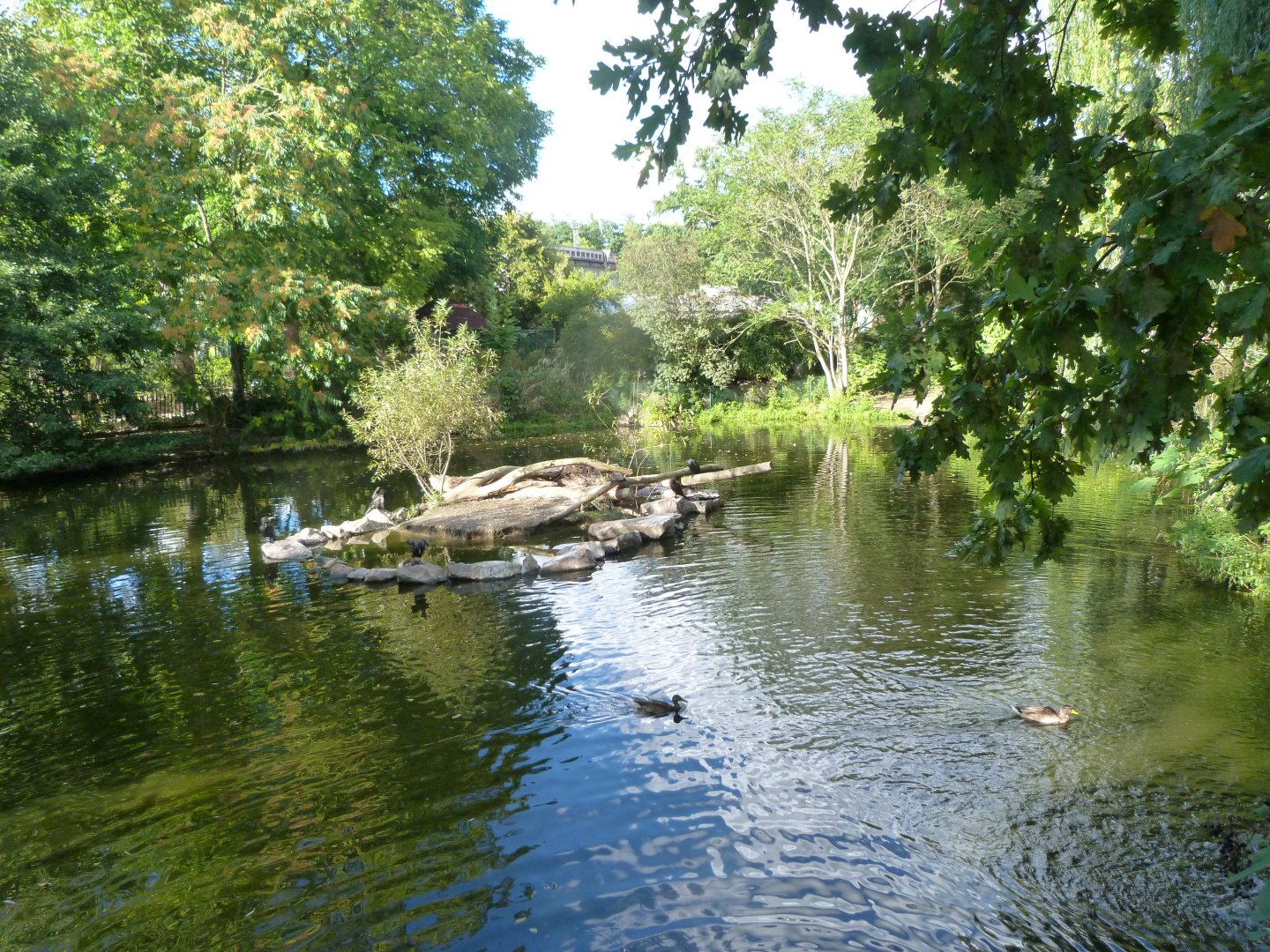 Macropod, pelican and waterfowl exhibits -Zoo Plzeň (2025)