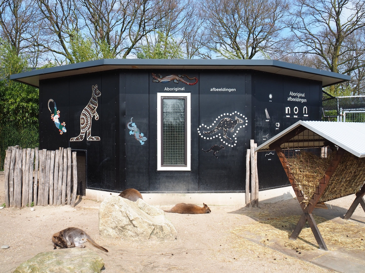 Macropod stable, 2019-04-06