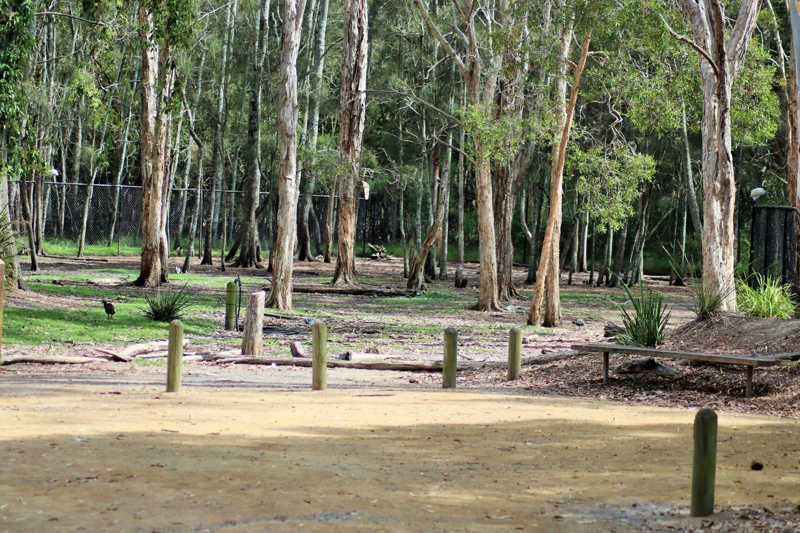 Macropod Walk-through Enclosure