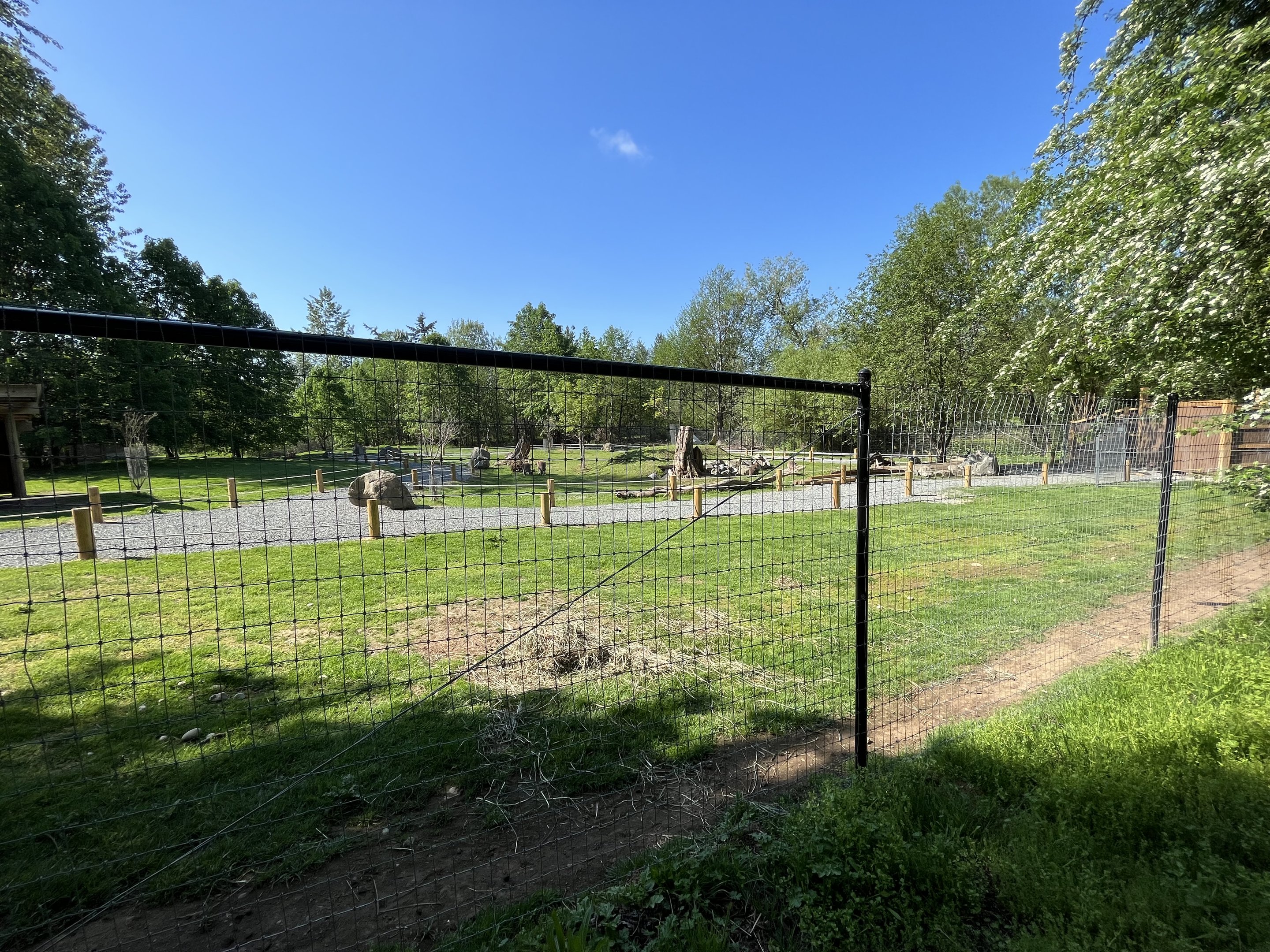 Macropod Walk-Through (opening soon)