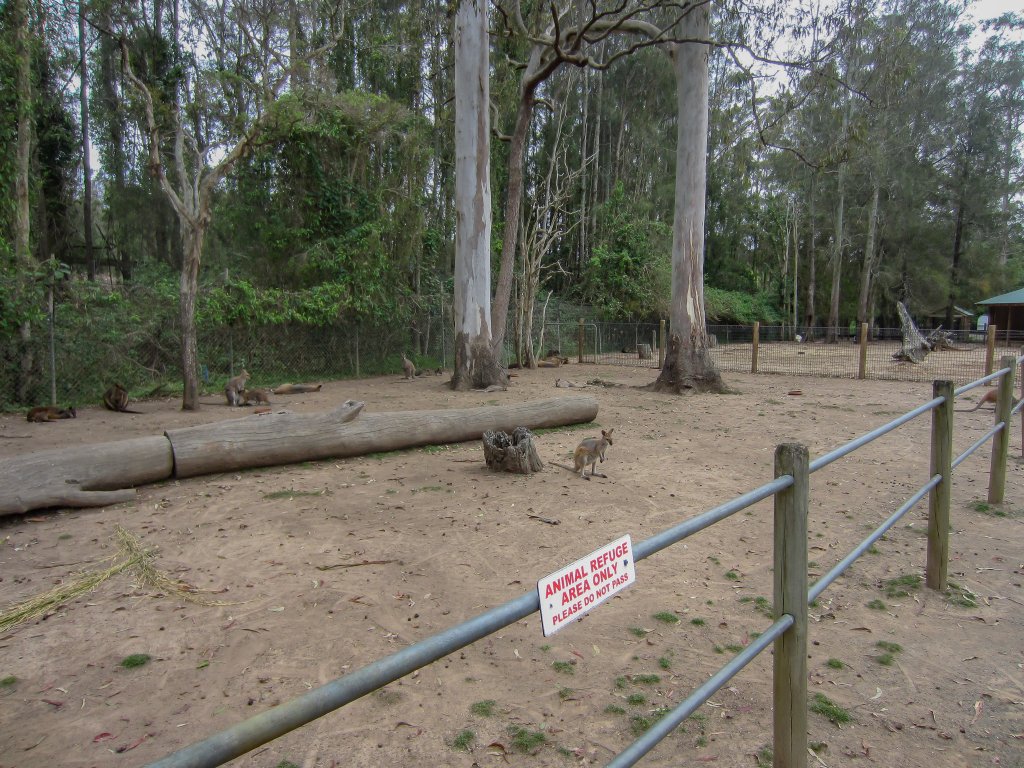 Macropod Walk-through