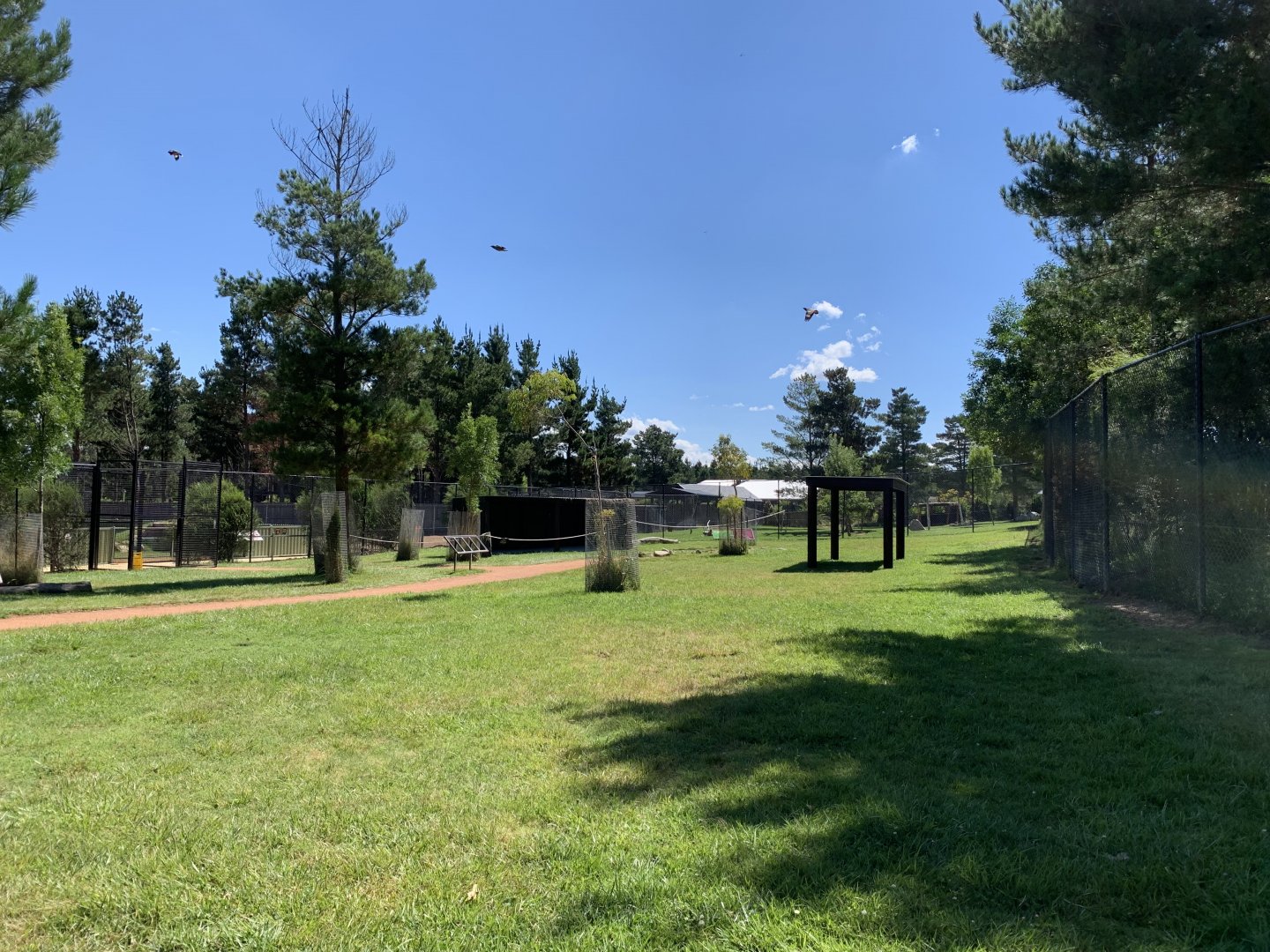Macropod Walk-through