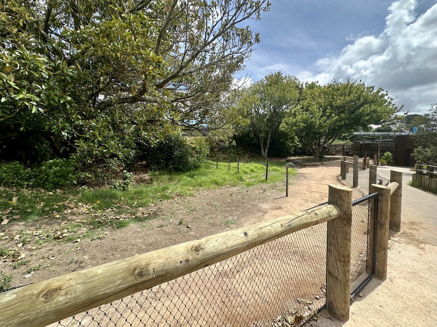 Macropod Walkthrough (Renovations)