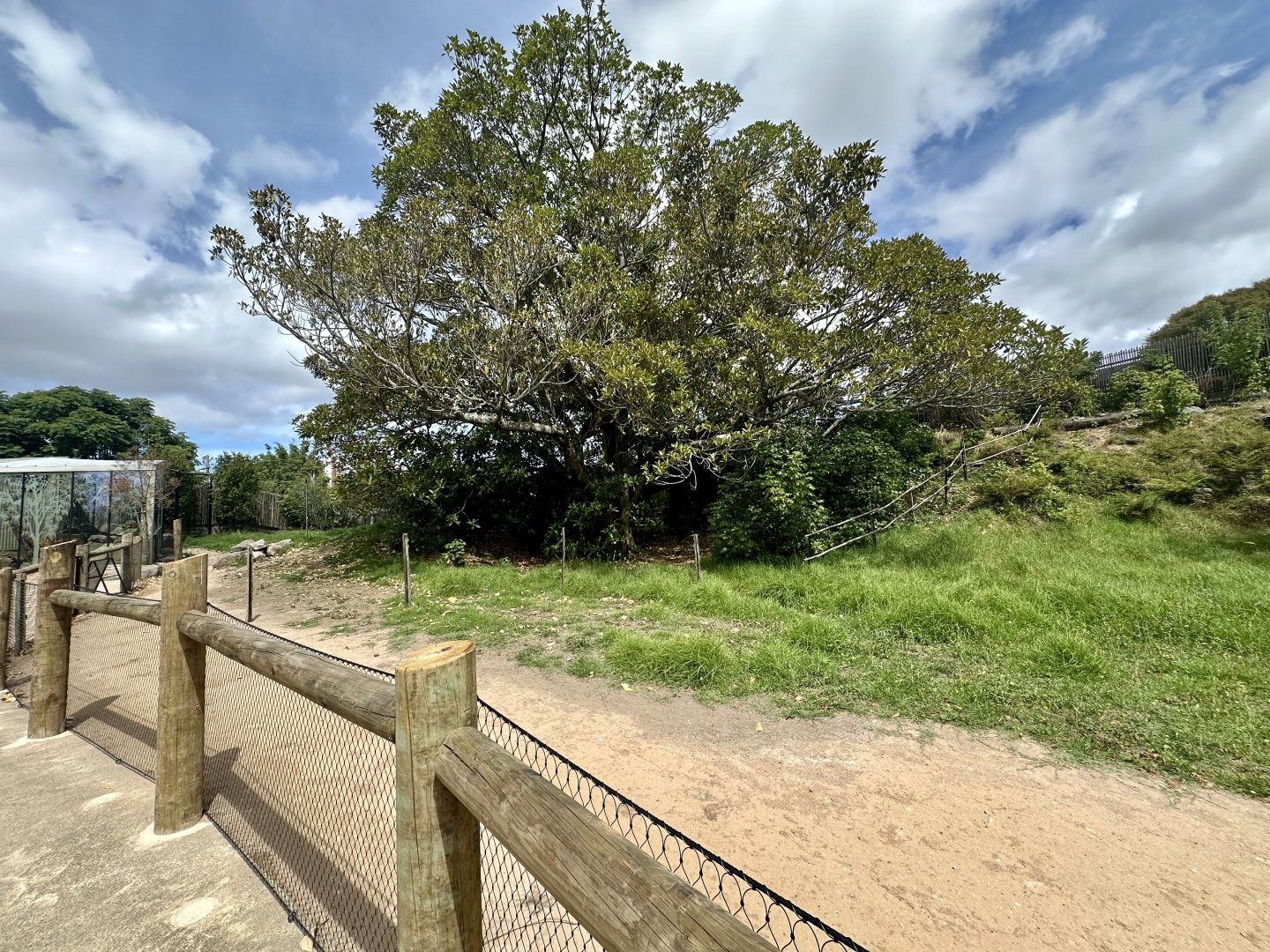 Macropod Walkthrough (Renovations)