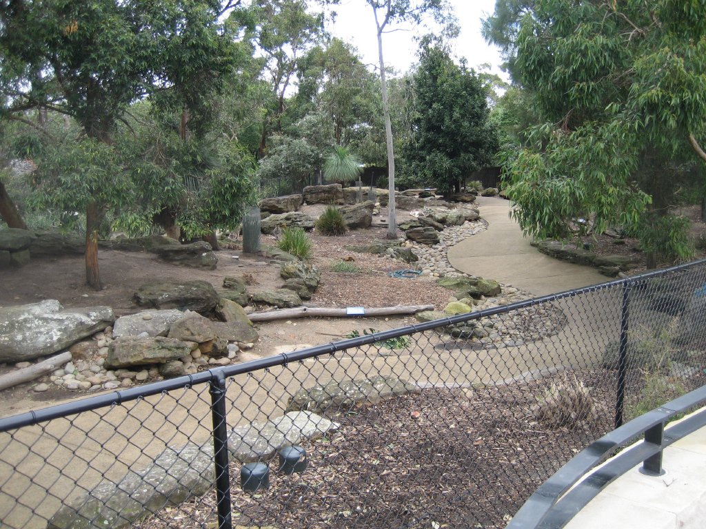 Macropod walkthrough viewed from the new entry precinct