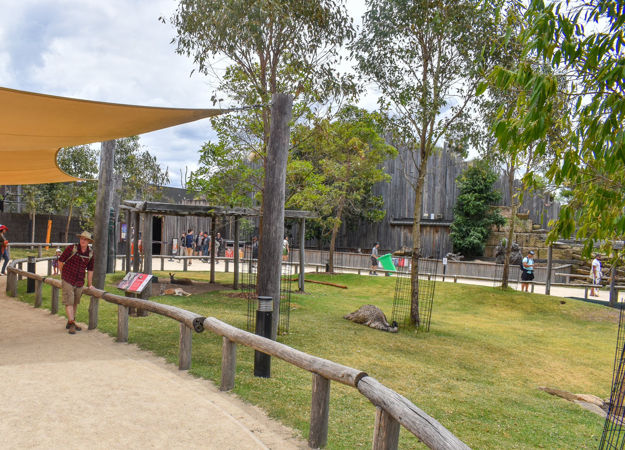 Macropod Walkthrough