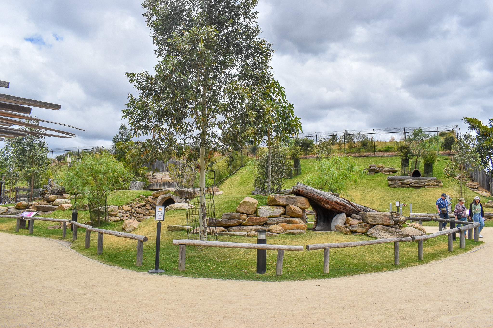 Macropod Walkthrough