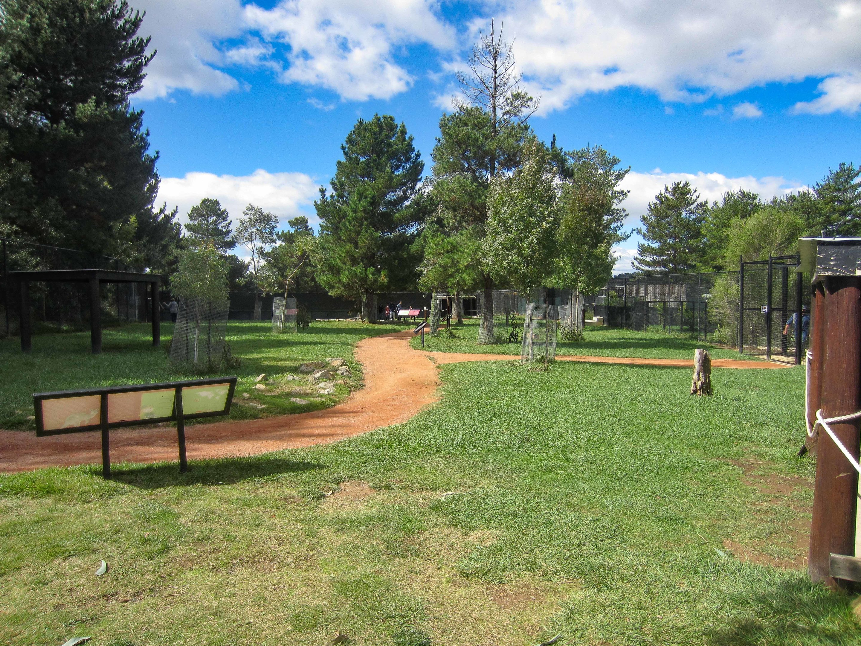 Macropod Walkthrough