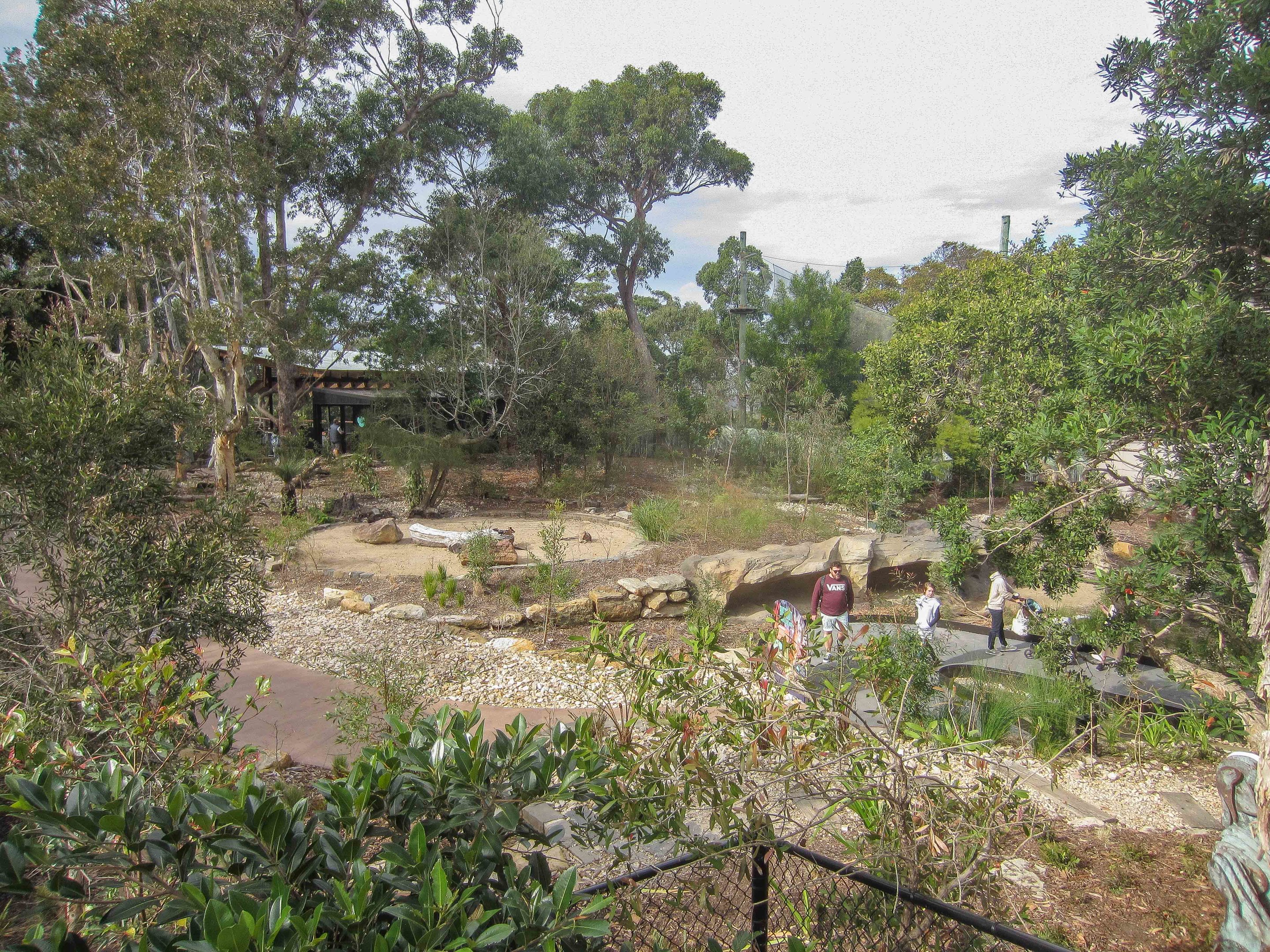 Macropod Walkthrough