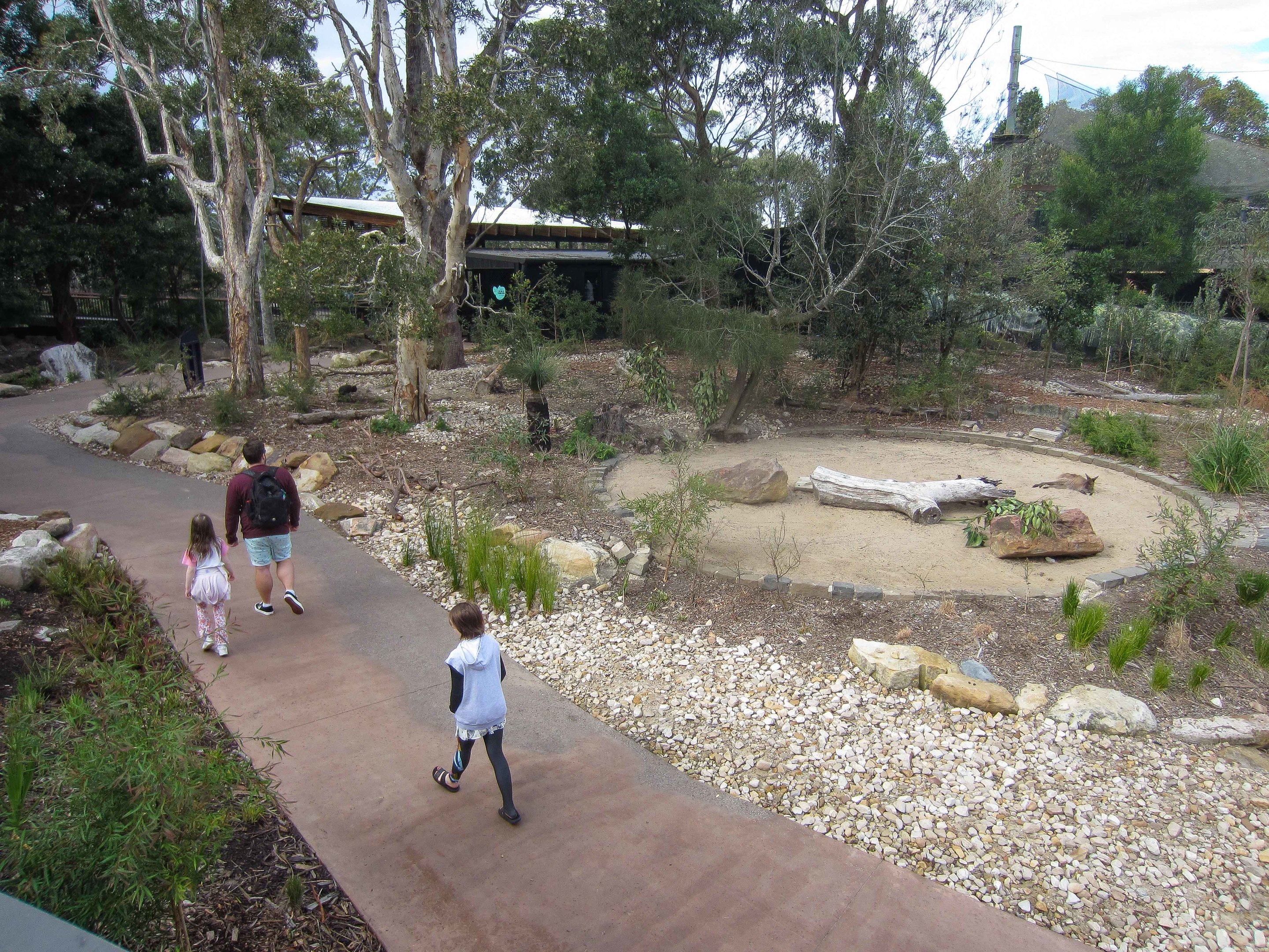 Macropod Walkthrough