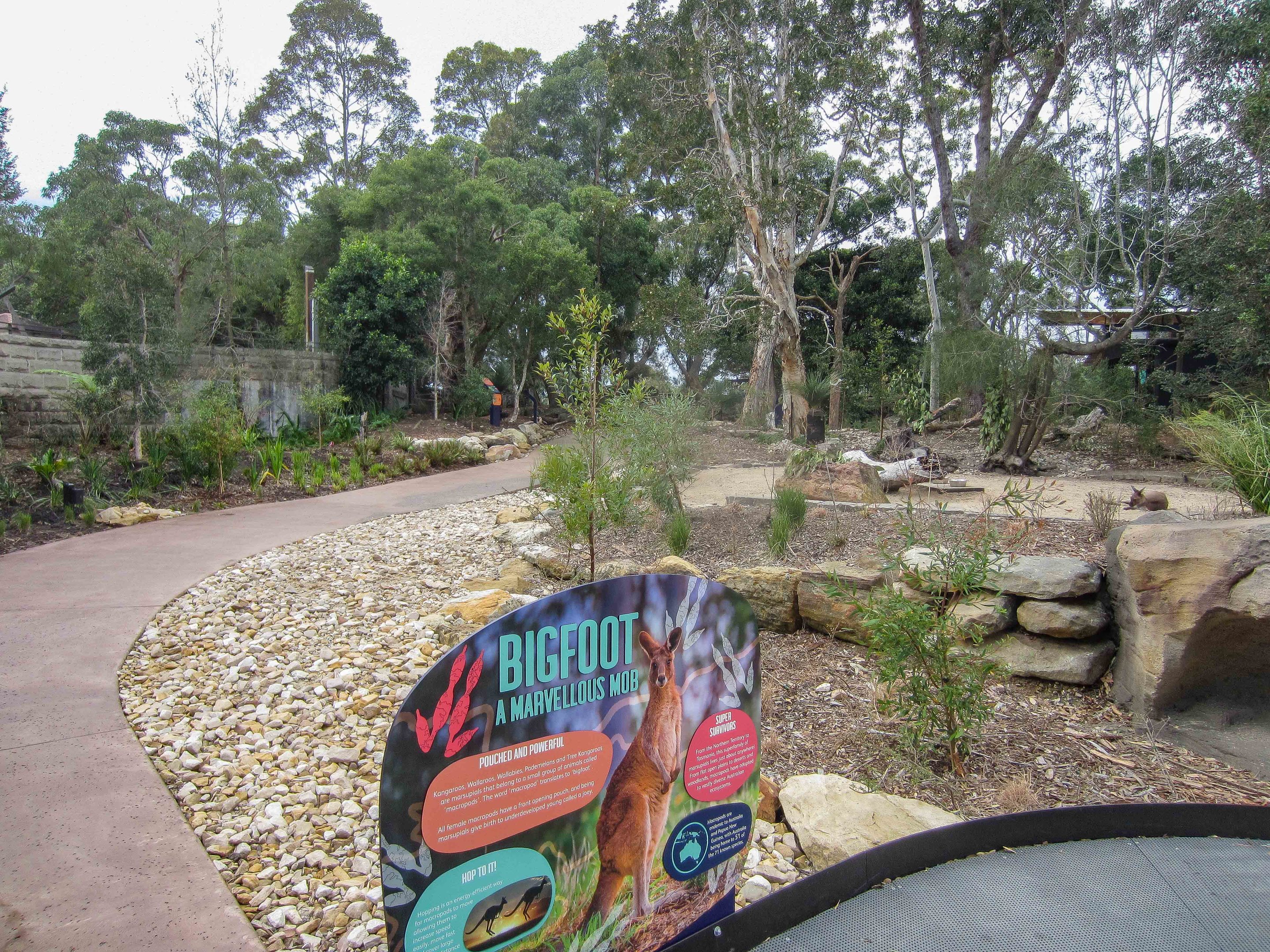 Macropod Walkthrough