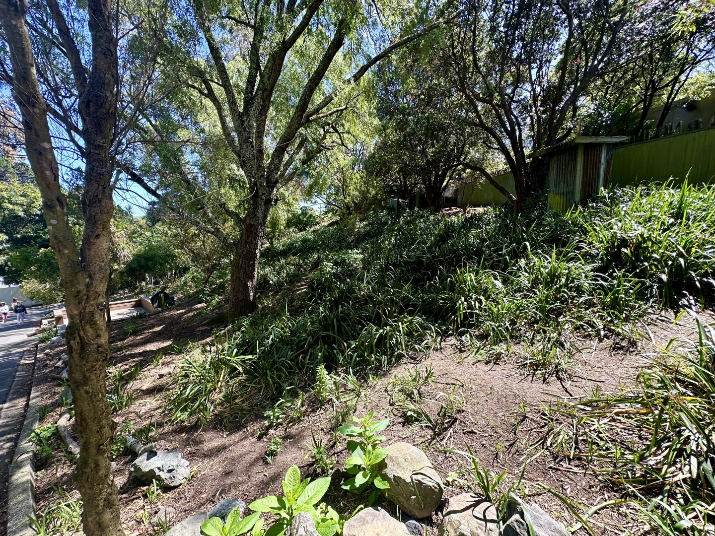 Macropod Walkthrough