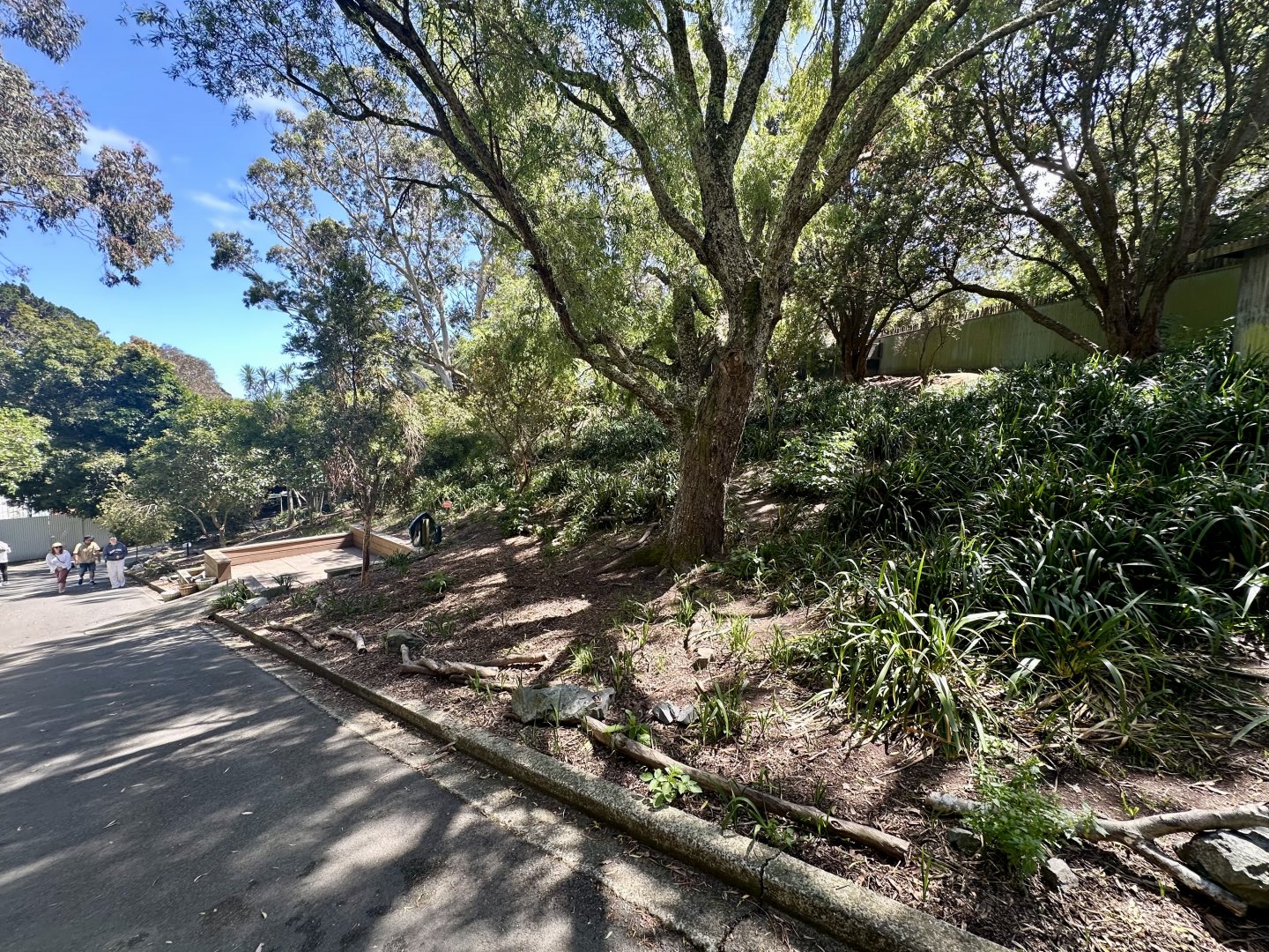 Macropod Walkthrough