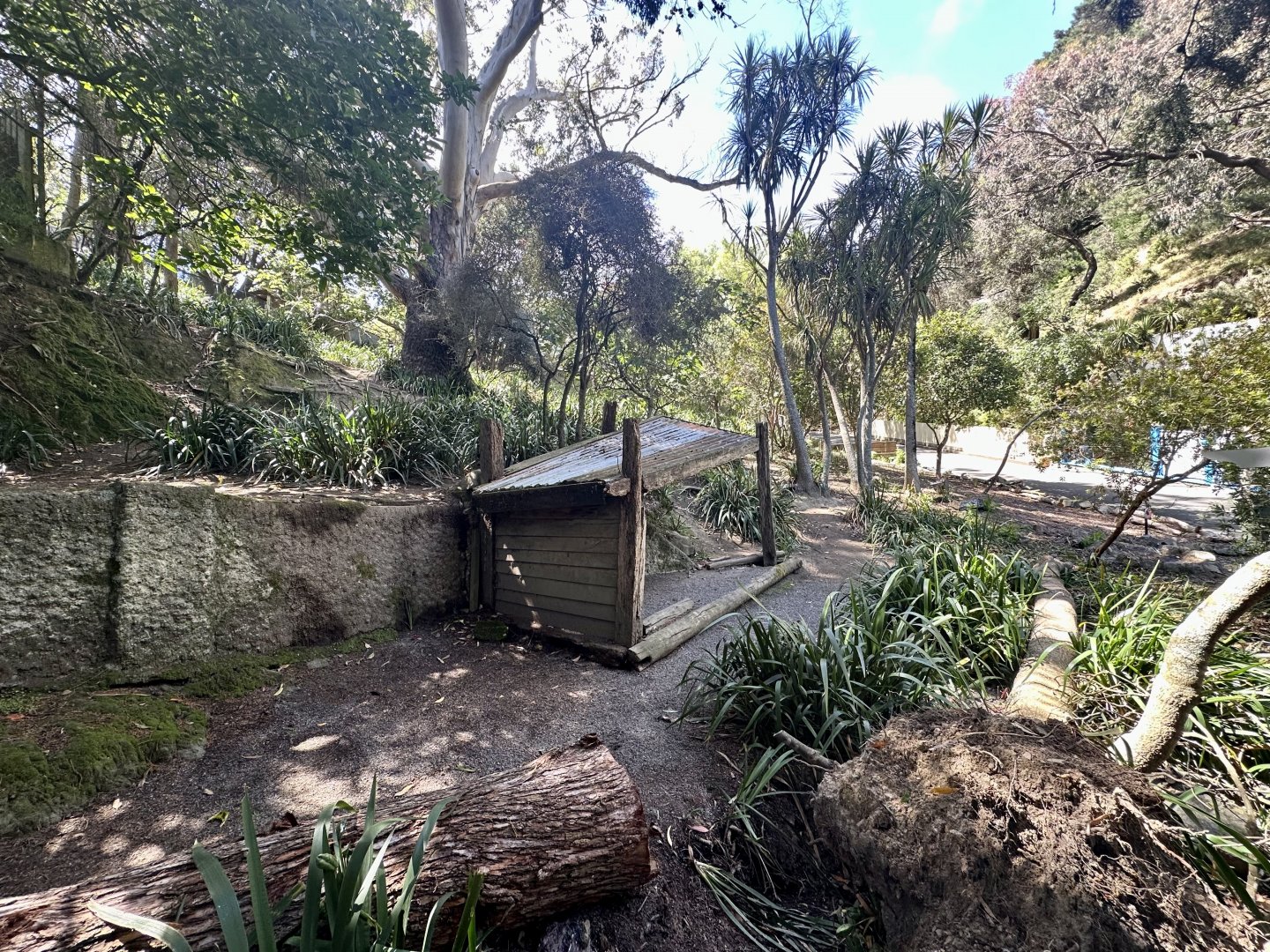 Macropod Walkthrough