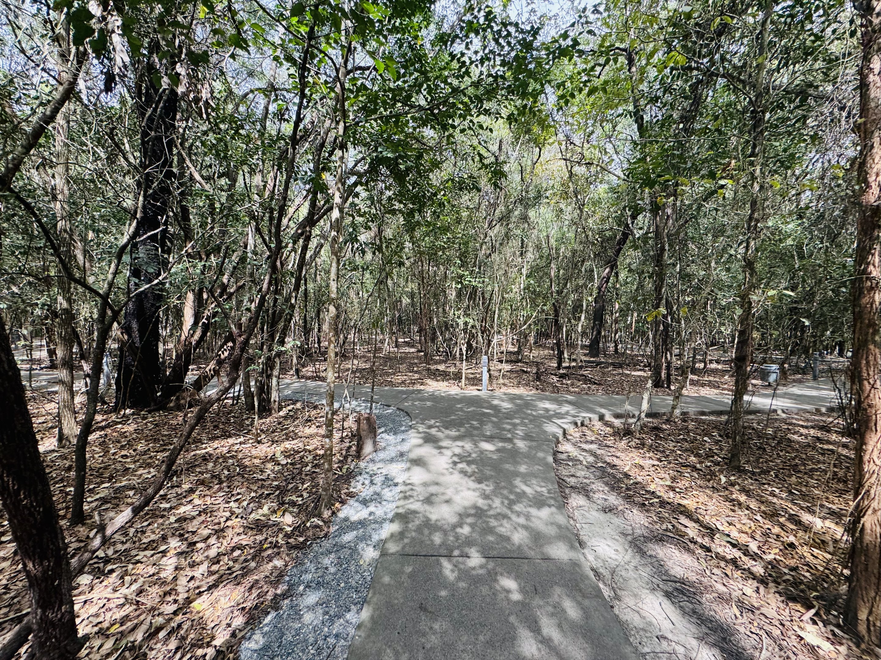 Macropod walkthrough