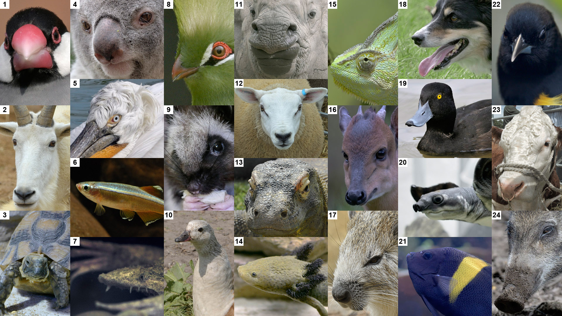 Mad March Monochrome Photo Puzzle - now in 8-bit colour