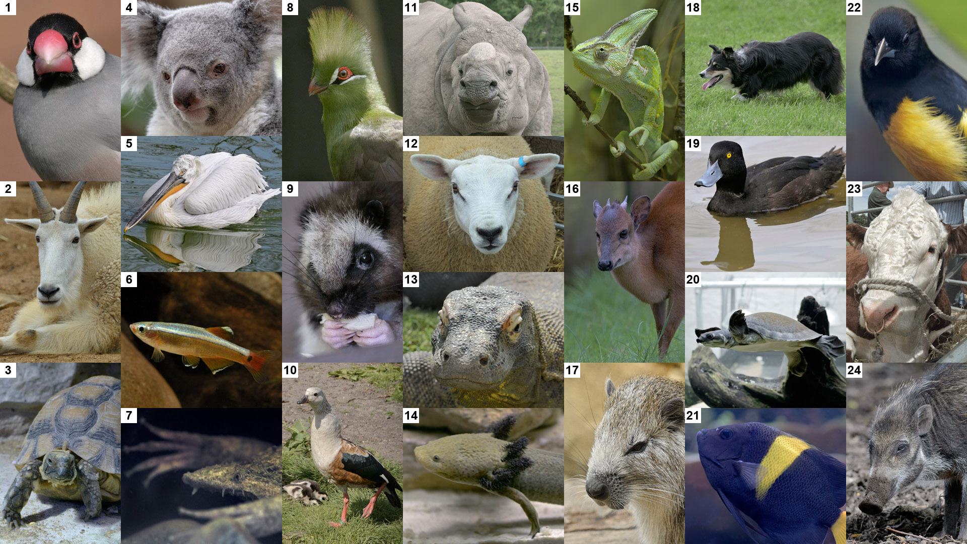 Mad March Monochrome Puzzle, uncropped images