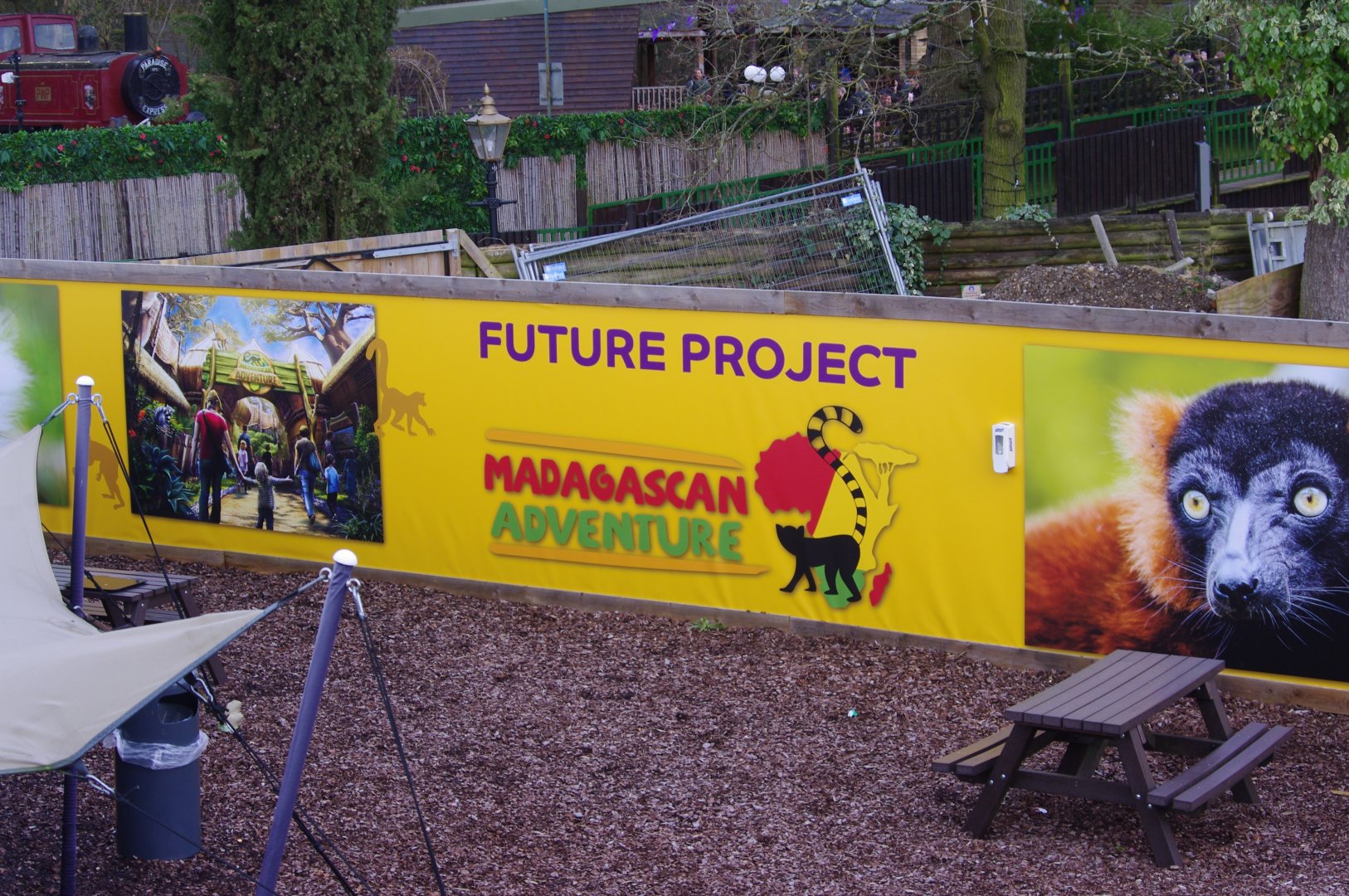 Madagascan Adventure- 8/3/2024