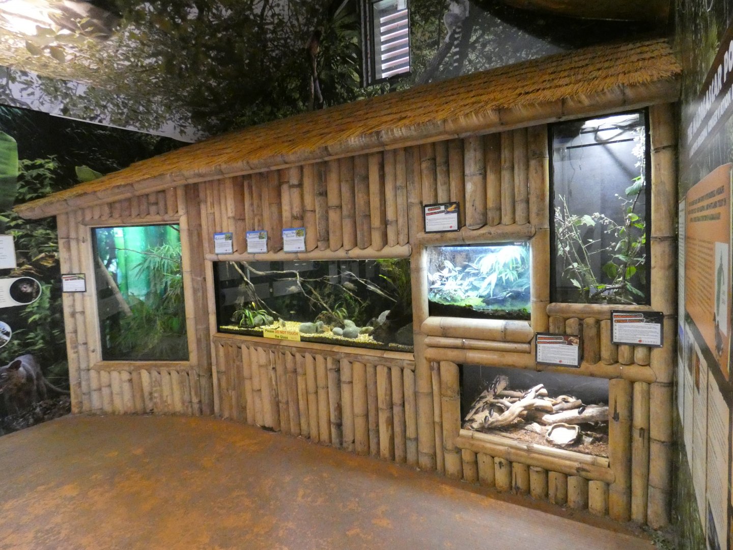 Madagascan vivariums