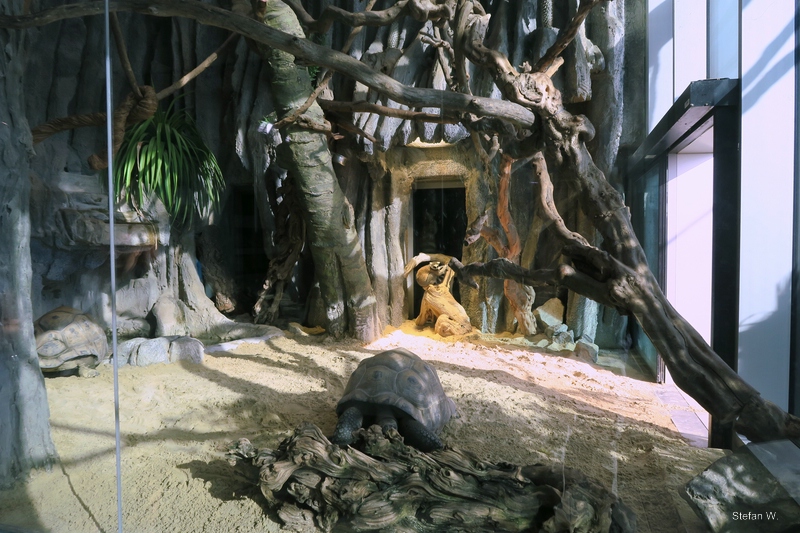 Madagascar - 9th floor