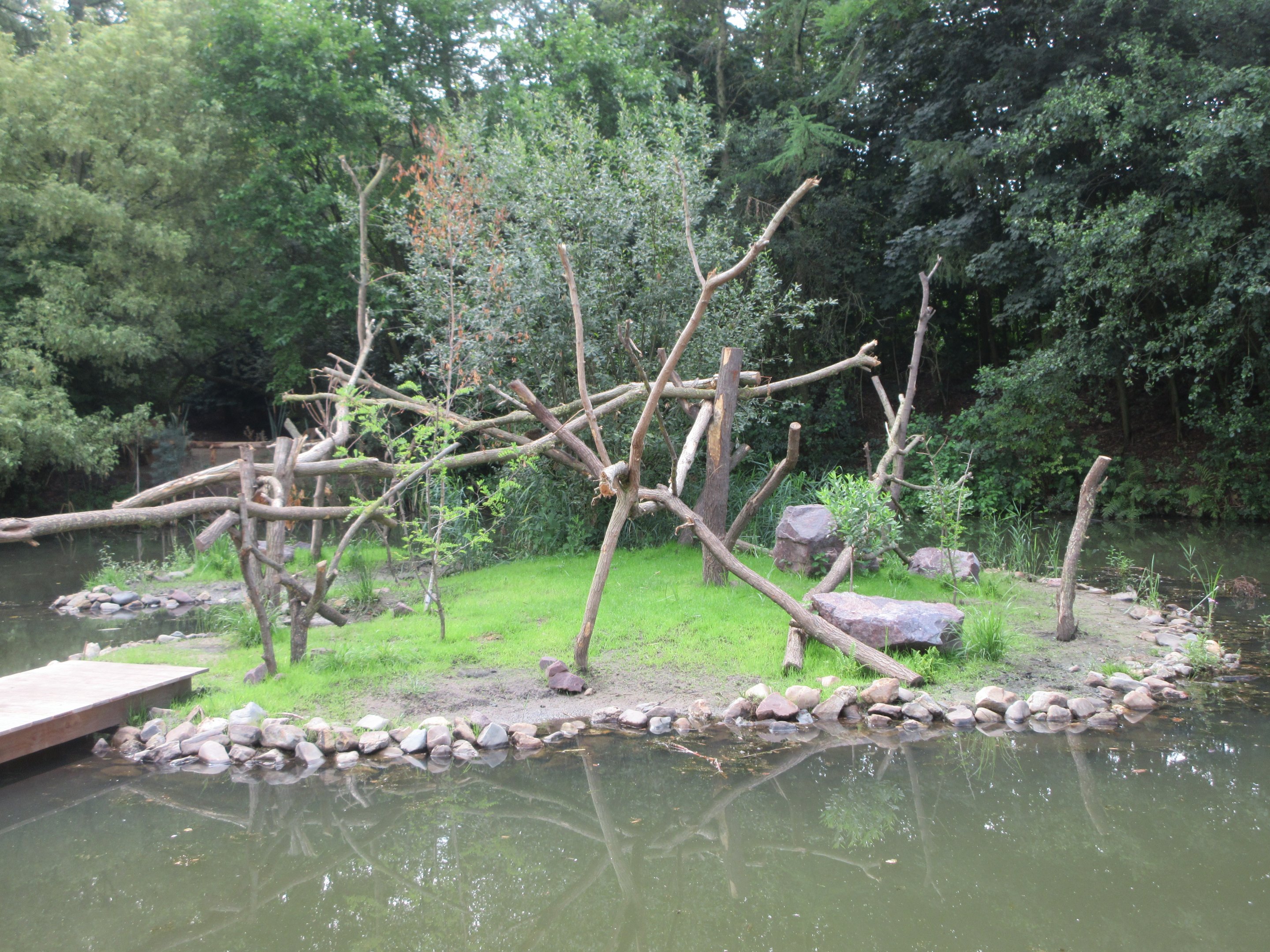 Madagascar - Alaotran Gentle Lemur Exhibit