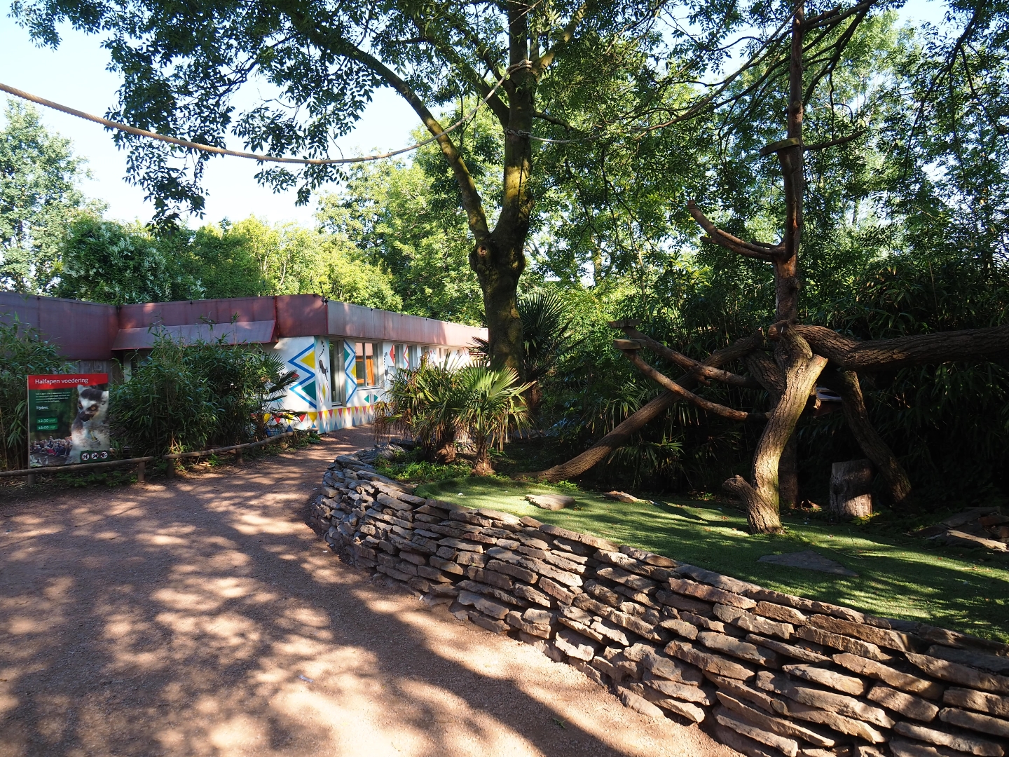 Madagascar area and lemur house (Sep 2nd, 2018)