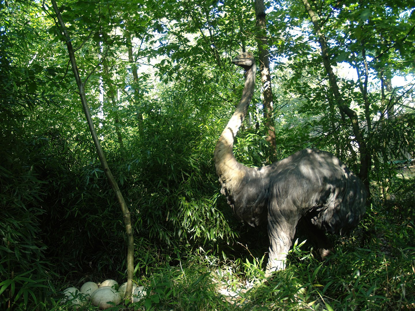 Madagascar area - Elephant bird (Aepyornis maximus) and eggs model, 2007-09-16