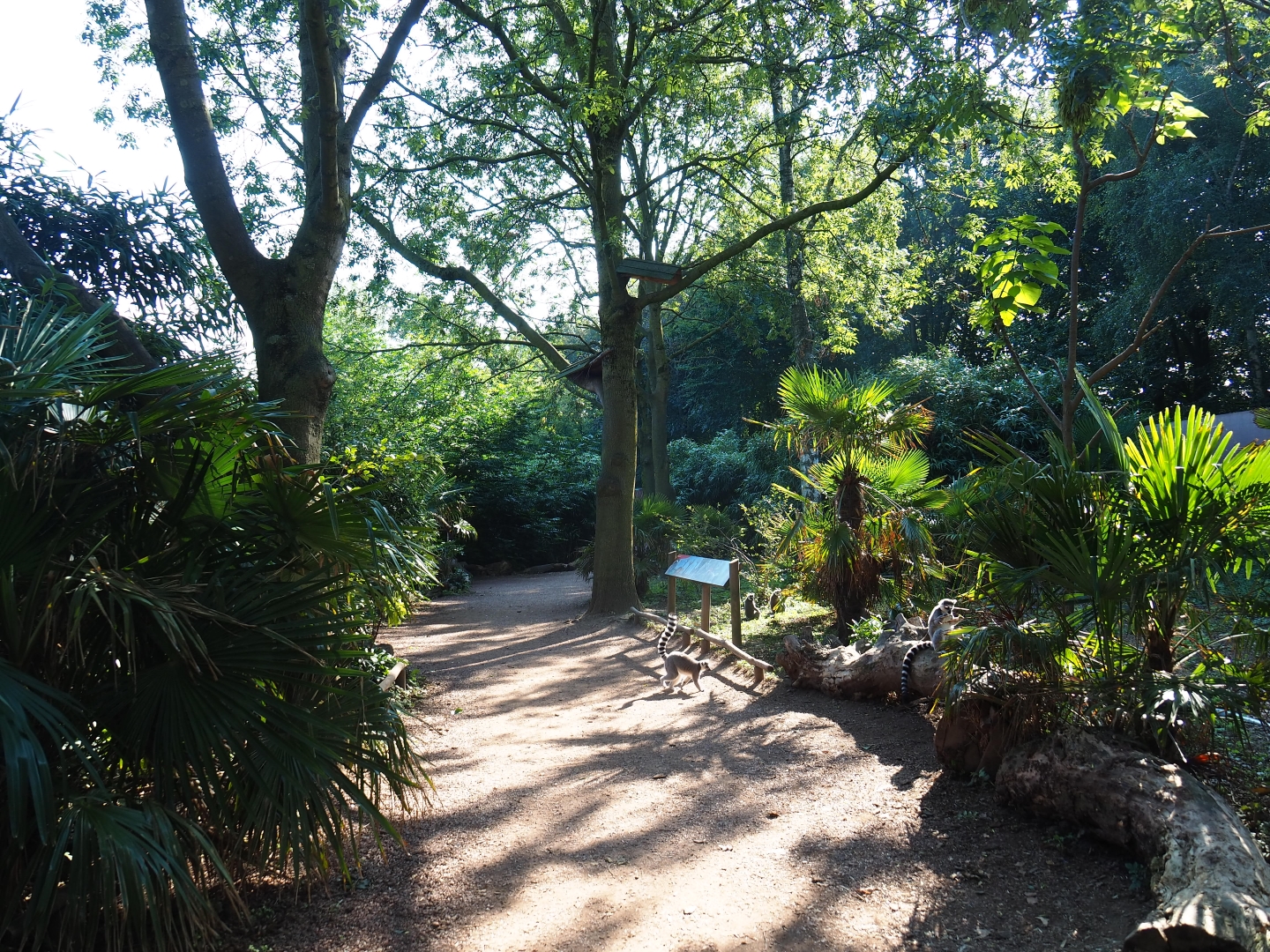 Madagascar area (Sep 2nd, 2018)