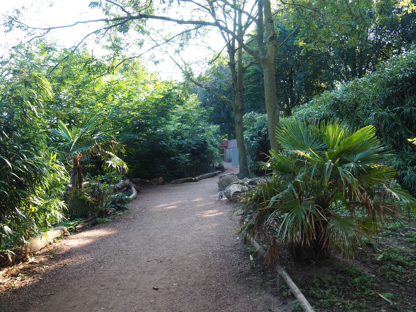 Madagascar area (Sep 2nd, 2018)