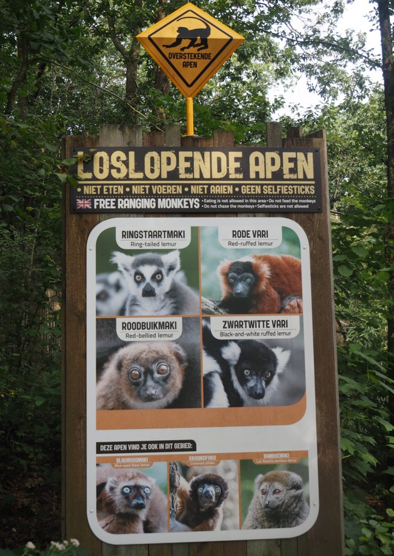 Madagascar area species signage, 2024-08-18