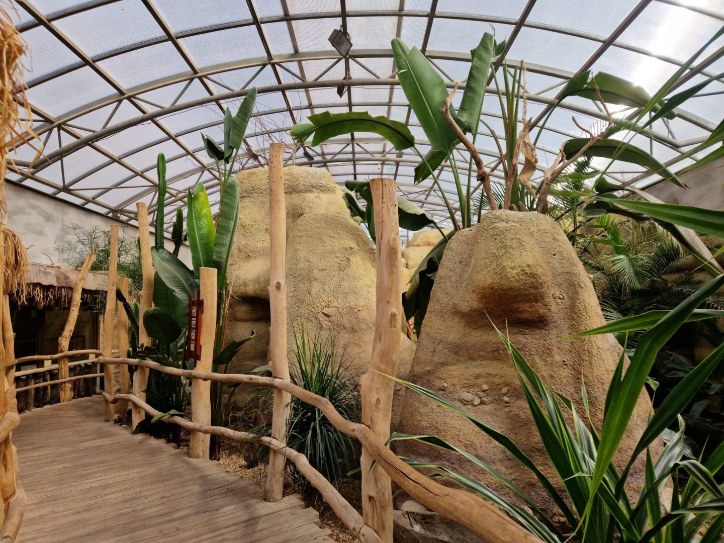 Madagascar Bird House