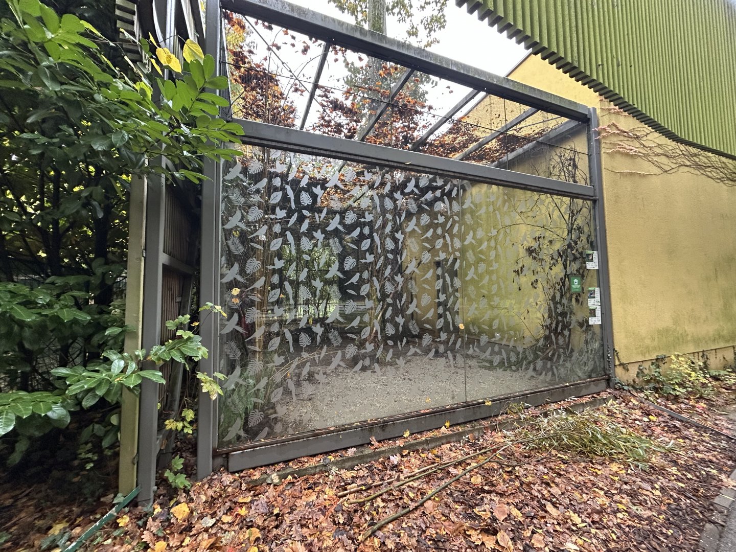 Madagascar Birds Aviary