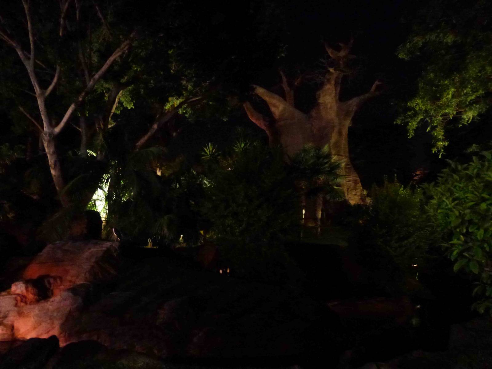 Madagascar by night, July 2013.