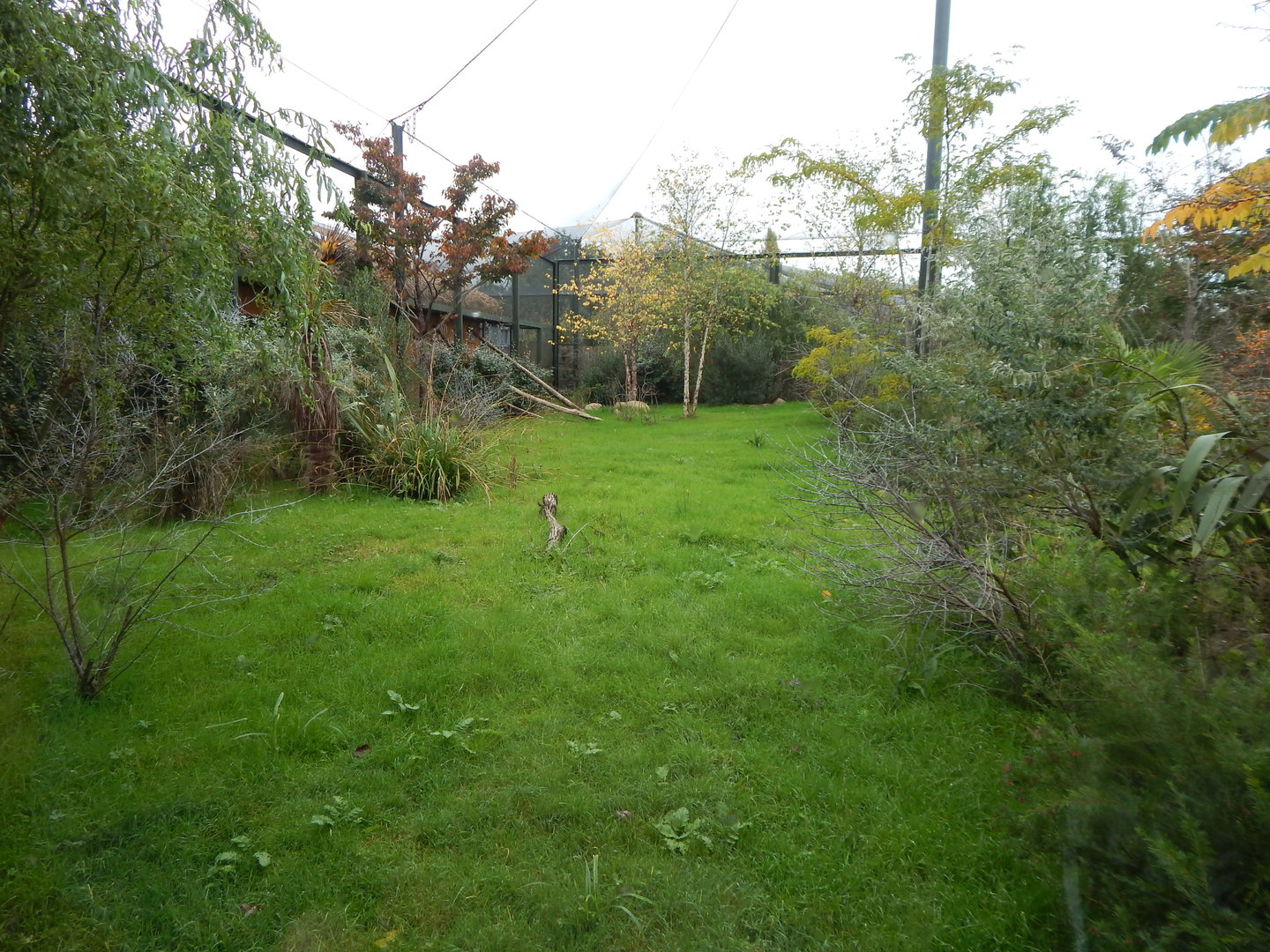 Madagascar - Coquerel's sifaka enclosure 221022