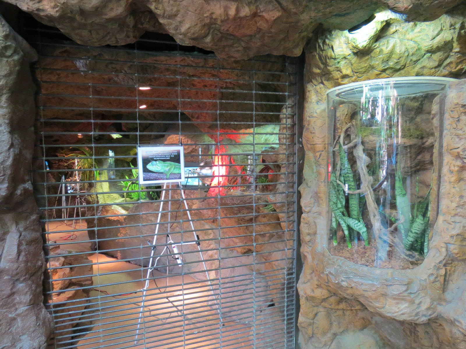 Madagascar - Entrance