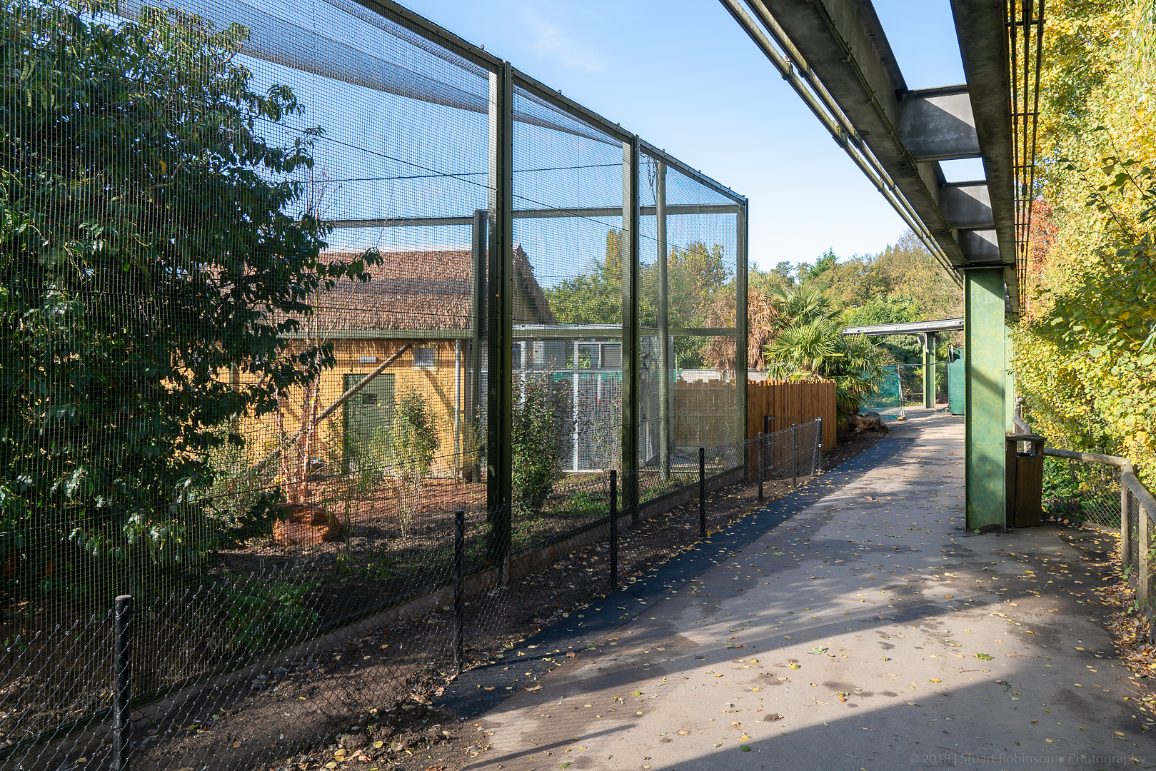 Madagascar Exhibit - 27/10/2018