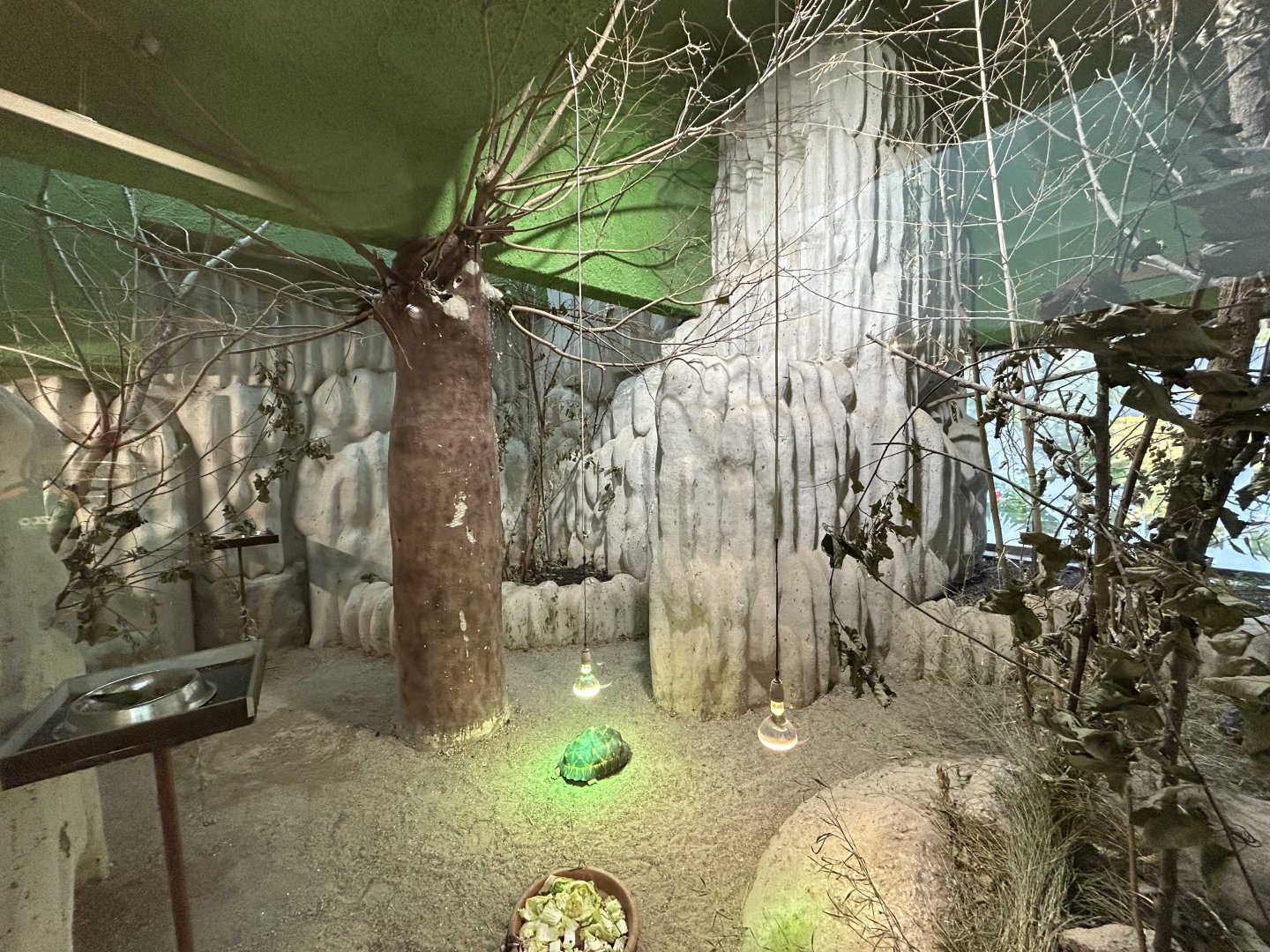 Madagascar Exhibit in Gift Shop