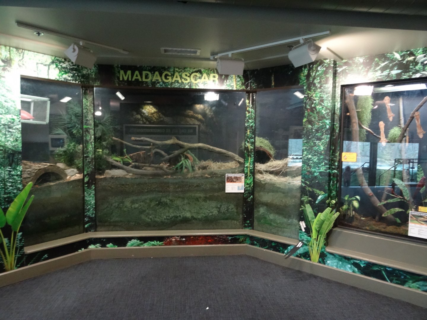 "Madagascar" Exhibit
