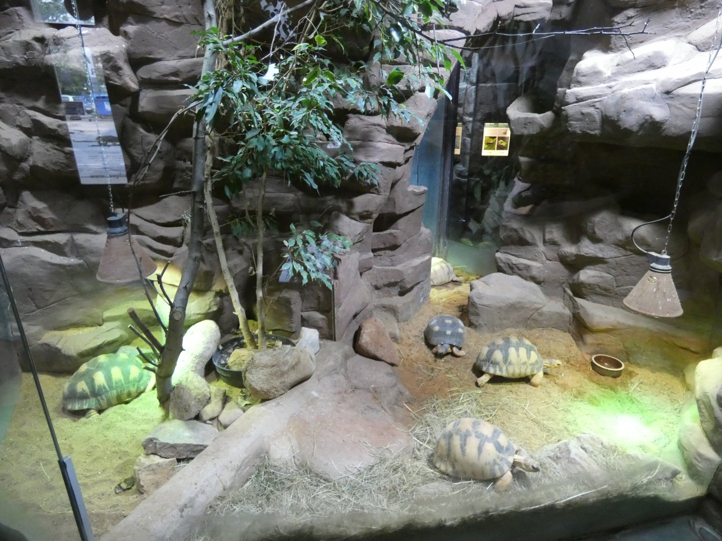 Madagascar exhibit